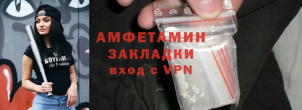 индика Горнозаводск