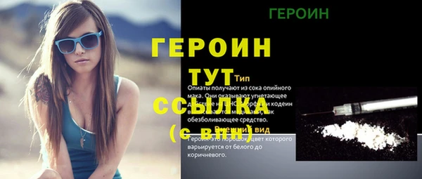 индика Горнозаводск