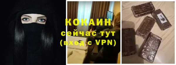 индика Горнозаводск
