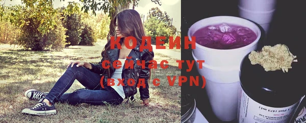 кристаллы Гусев