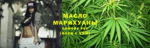 индика Горнозаводск