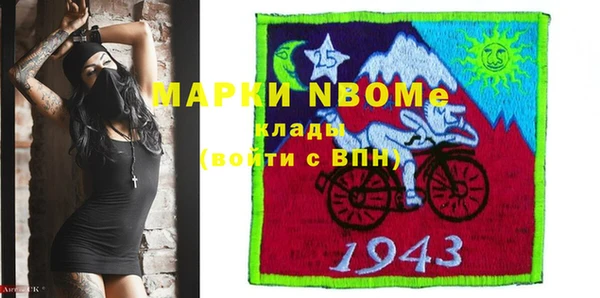 индика Горнозаводск