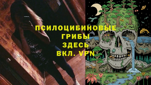 МДПВ Гусиноозёрск