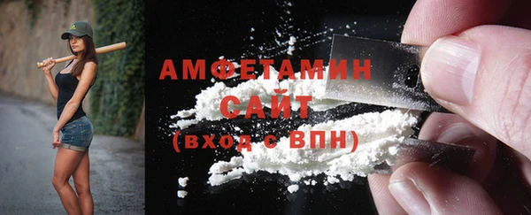 индика Горнозаводск