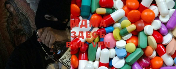 индика Горнозаводск